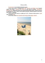 Referāts 'Derīgie izrakteņi dažādos Latvijas novados', 8.