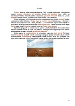 Referāts 'Derīgie izrakteņi dažādos Latvijas novados', 11.