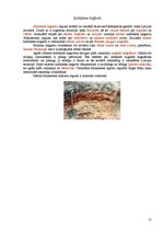 Referāts 'Derīgie izrakteņi dažādos Latvijas novados', 13.