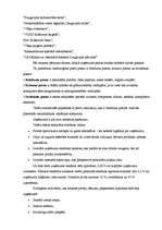 Prakses atskaite 'Prakse uzņēmumā SIA "Visla D"', 6.