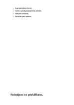 Prakses atskaite 'Prakse uzņēmumā SIA "Visla D"', 7.