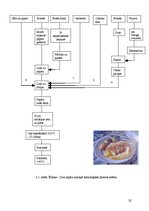 Referāts 'Ēdināšanas uzņēmuma tehnoloģiskā procesa norises dokumentu izstrāde', 18.