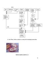 Referāts 'Ēdināšanas uzņēmuma tehnoloģiskā procesa norises dokumentu izstrāde', 22.