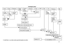 Referāts 'Ēdināšanas uzņēmuma tehnoloģiskā procesa norises dokumentu izstrāde', 26.