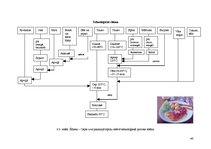 Referāts 'Ēdināšanas uzņēmuma tehnoloģiskā procesa norises dokumentu izstrāde', 32.