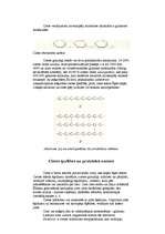 Referāts 'Polisaharīdi', 2.