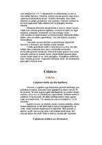 Referāts 'Polisaharīdi', 3.