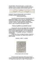 Referāts 'Polisaharīdi', 4.