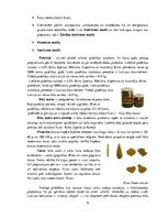 Referāts 'ZS "Kalna smīdes 1"', 6.