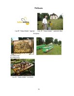 Referāts 'ZS "Kalna smīdes 1"', 10.