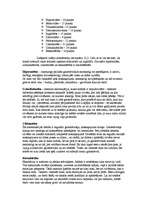 Konspekts 'H.Aizenka testa psiholoģisks raksturojums', 2.