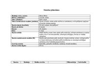 Konspekts 'Stundas plānošana', 1.