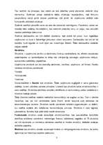 Referāts 'Uzņēmums, kas mācās', 3.