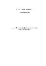Referāts 'Применение факторного анализа в психодиагностике', 1.