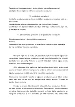 Eseja 'Spriedumi. Vēderdejas kā dzīvesveids', 7.