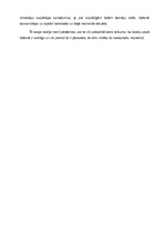 Eseja 'Spriedumi. Vēderdejas kā dzīvesveids', 8.