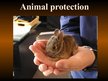 Prezentācija 'Animal Protection', 1.
