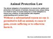 Prezentācija 'Animal Protection', 2.