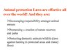 Prezentācija 'Animal Protection', 3.
