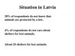 Prezentācija 'Animal Protection', 11.