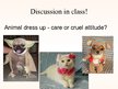 Prezentācija 'Animal Protection', 12.