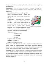 Referāts 'Minipētījums par lietojamiem pārtikas produktiem saskaņā ar noteiktu kritēriju s', 10.