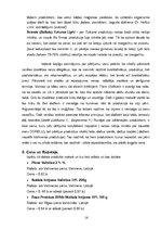 Referāts 'Minipētījums par lietojamiem pārtikas produktiem saskaņā ar noteiktu kritēriju s', 16.