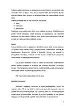 Konspekts 'Dzīvesstilu noteikšana, motivācija, psihografika', 2.