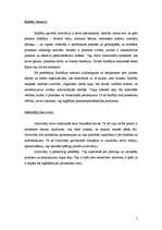 Konspekts 'Dzīvesstilu noteikšana, motivācija, psihografika', 5.