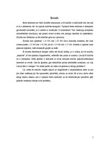 Referāts 'Tipiskā Retta sindroma raksturojums un rehabilitācijas iespējas', 3.