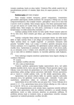 Referāts 'Jonizējoša starojuma iedarbība uz cilvēka veselību', 10.