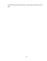 Diplomdarbs 'Korporatīvā sociālā atbildība un darba vides riska faktori uzņēmumā', 30.