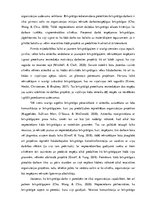 Eseja 'Brīvprātīgo rekrutēšana', 2.