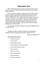 Konspekts 'Yerba mate tēja', 1.