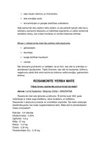 Konspekts 'Yerba mate tēja', 2.