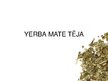 Konspekts 'Yerba mate tēja', 9.