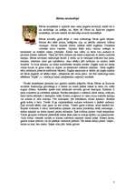 Referāts 'Kurzemes novada tautastērpi', 7.