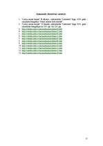 Referāts 'Kurzemes novada tautastērpi', 17.