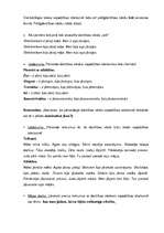 Konspekts 'Stundas plāns latviešu valodā 7.klasei', 2.