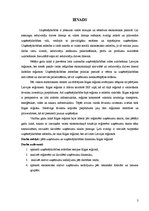 Referāts 'Uzņēmējdarbības un uzņēmumu attīstības dinamika Rīgas reģionā', 3.