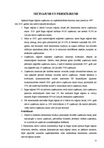 Referāts 'Uzņēmējdarbības un uzņēmumu attīstības dinamika Rīgas reģionā', 13.