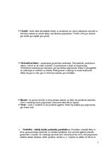 Referāts 'Apģērba labošana', 7.