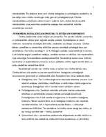 Referāts 'Personība - būtība, īpašības, komponenti, statusi un to funkcijas', 2.