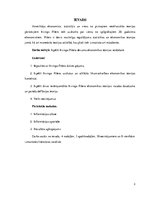 Referāts 'Irvinga Fišera devums ekonomikas teorijas veidošanā', 3.