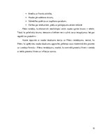 Referāts 'Irvinga Fišera devums ekonomikas teorijas veidošanā', 10.