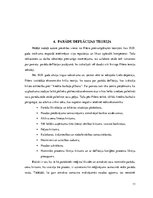 Referāts 'Irvinga Fišera devums ekonomikas teorijas veidošanā', 11.