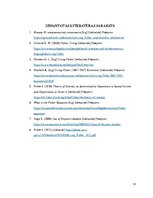 Referāts 'Irvinga Fišera devums ekonomikas teorijas veidošanā', 14.