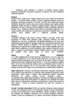 Referāts 'Vērtspapīru veidi, to raksturojums', 2.