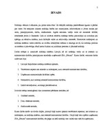 Referāts 'Nodokļu ietekme uz pakalpojuma sniedzēja uzņēmuma saimniecisko darbību', 3.