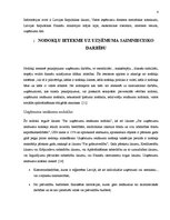 Referāts 'Nodokļu ietekme uz pakalpojuma sniedzēja uzņēmuma saimniecisko darbību', 4.